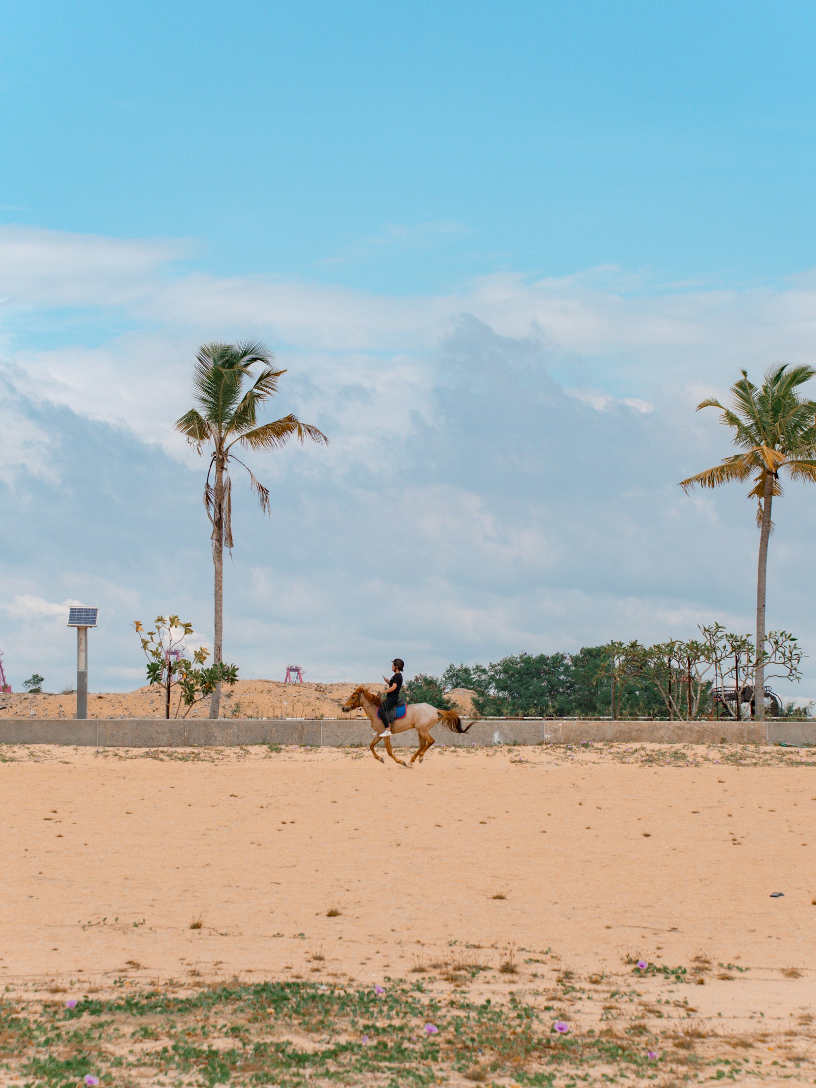 Horseback Riding