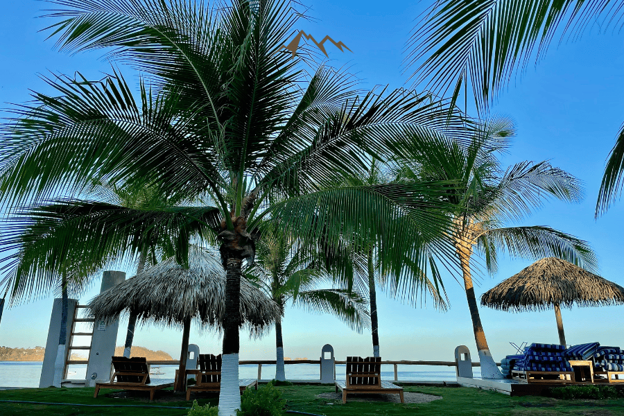 Guanacaste, Costa Rica. Palm trees on the beach in Playa Potrero, Guanacaste, Costa Rica.