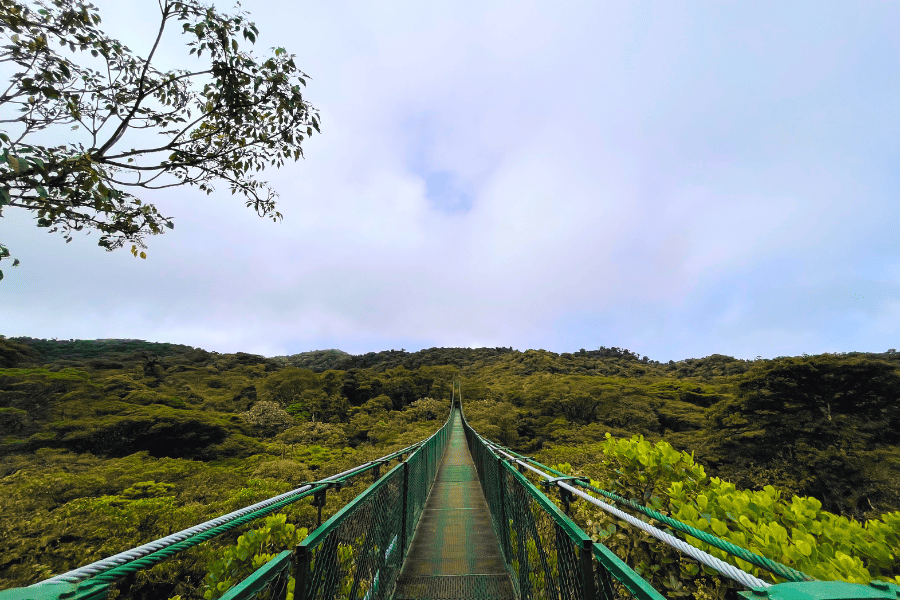 A green hanging bridge in Monteverde, Costa Rica, running along the canopy of a lush green forest.